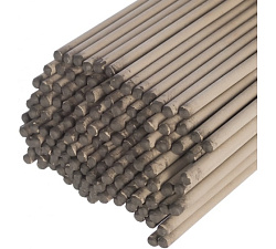 Электрод СВ000000666 HOUSE  США